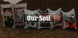 Rogue Soil - Our Soil