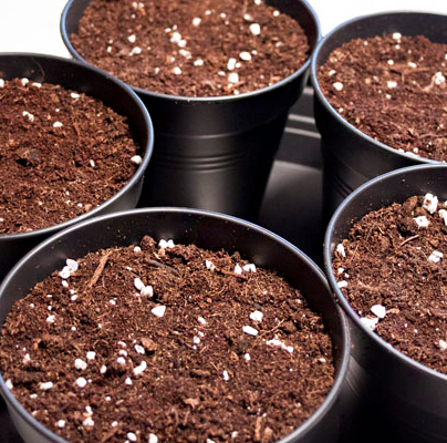 Potting Soil