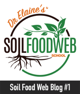 Soil Food Web