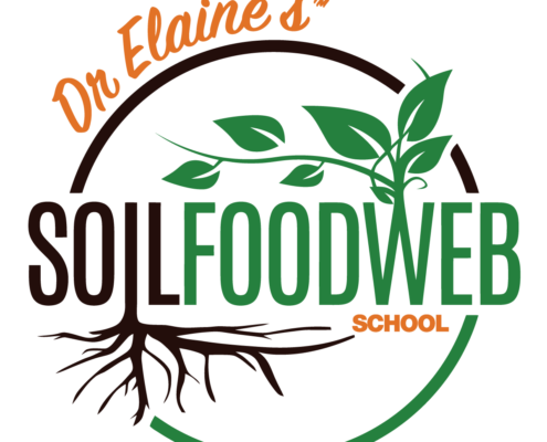Soil Food Web
